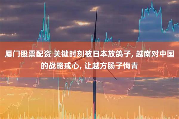 厦门股票配资 关键时刻被日本放鸽子, 越南对中国的战略戒心, 让越方肠子悔青