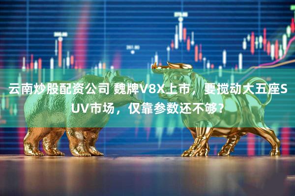 云南炒股配资公司 魏牌V8X上市，要搅动大五座SUV市场，仅靠参数还不够？